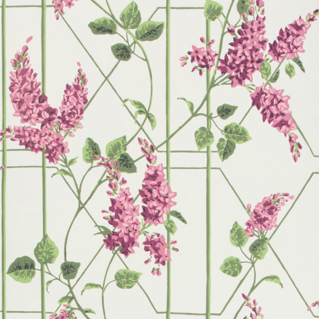 Wisteria - Magenta/Green/Wh Multi By Cole & Son | Cole & Son Botanical Botanica |  Wallcovering Print
