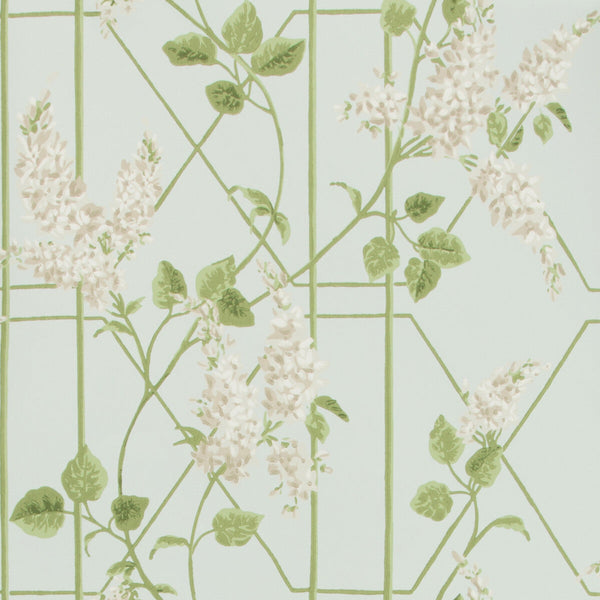 Wisteria - Stone/Olive/D Egg Multi By Cole & Son | Cole & Son Botanical Botanica |  Wallcovering Print