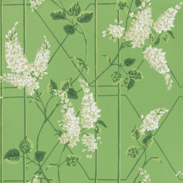 Wisteria - Sage/Leaf Green Green By Cole & Son | Cole & Son Botanical Botanica |  Wallcovering Print