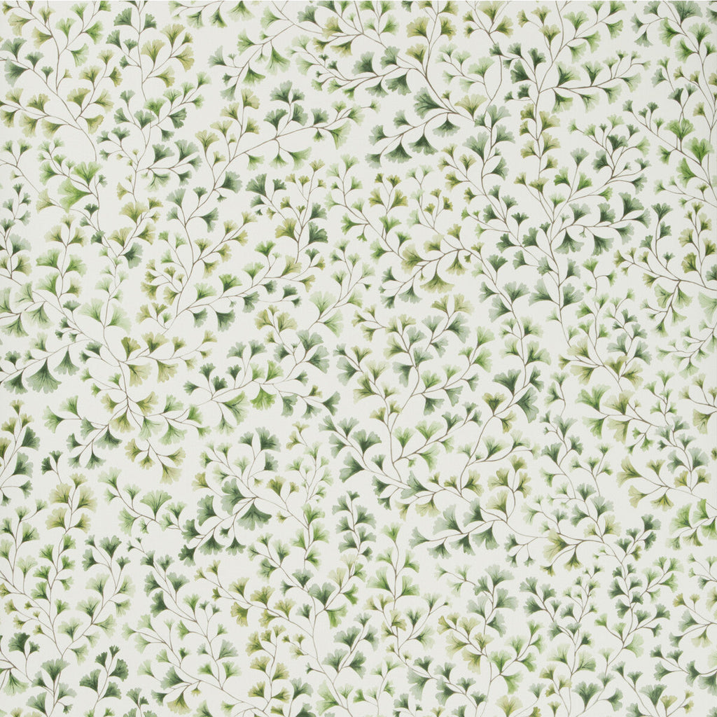 Maidenhair - Olive Green By Cole & Son | Cole & Son Botanical Botanica |  Wallcovering Print