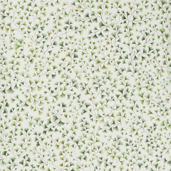 Maidenhair - Olive Green By Cole & Son | Cole & Son Botanical Botanica |  Wallcovering Print