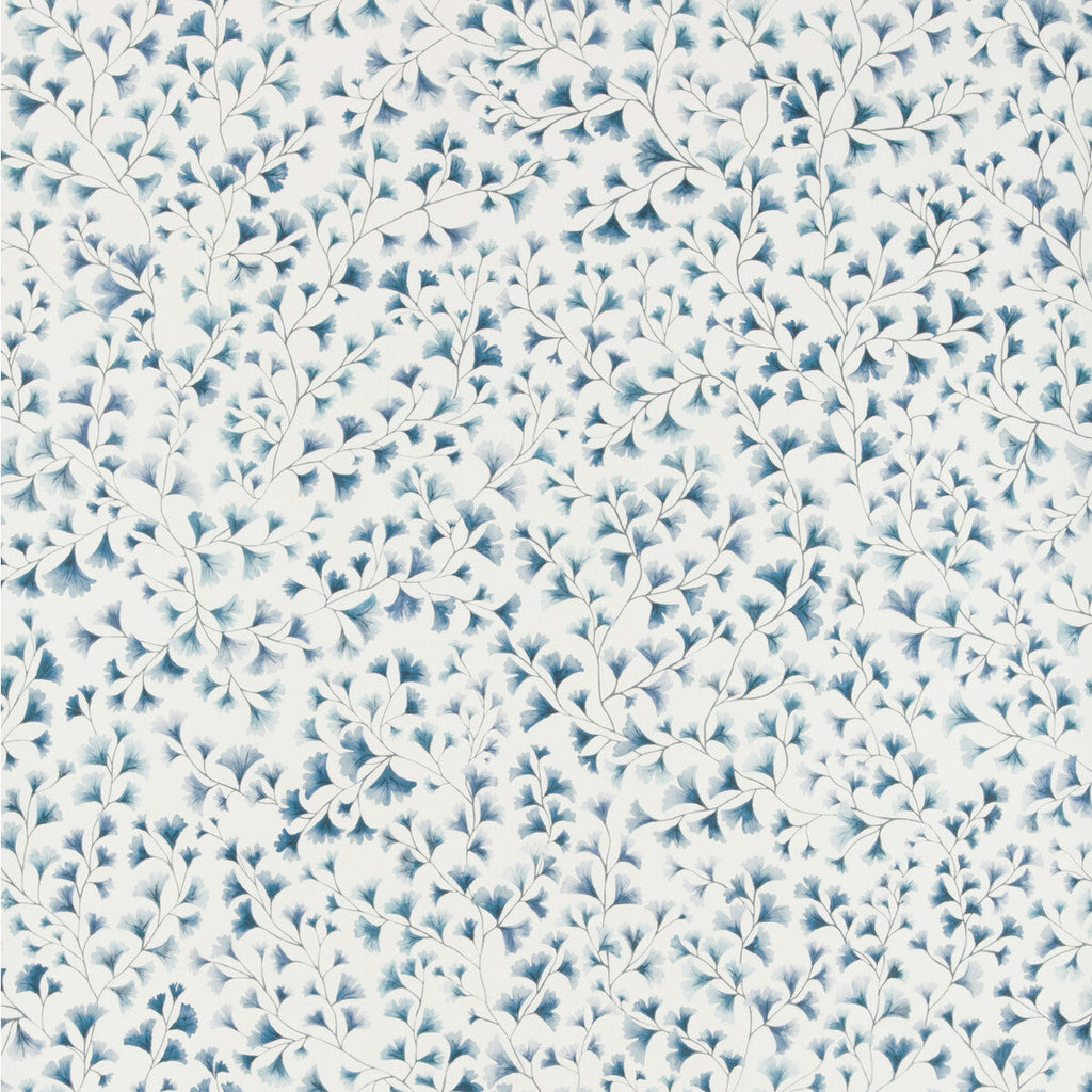 Maidenhair - China Blue Blue By Cole & Son | Cole & Son Botanical Botanica |  Wallcovering Print