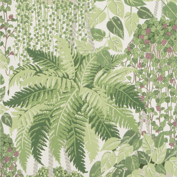 Fern - Leaf Green And Olive Olive Green By Cole & Son | Cole & Son Botanical Botanica |  Wallcovering Print