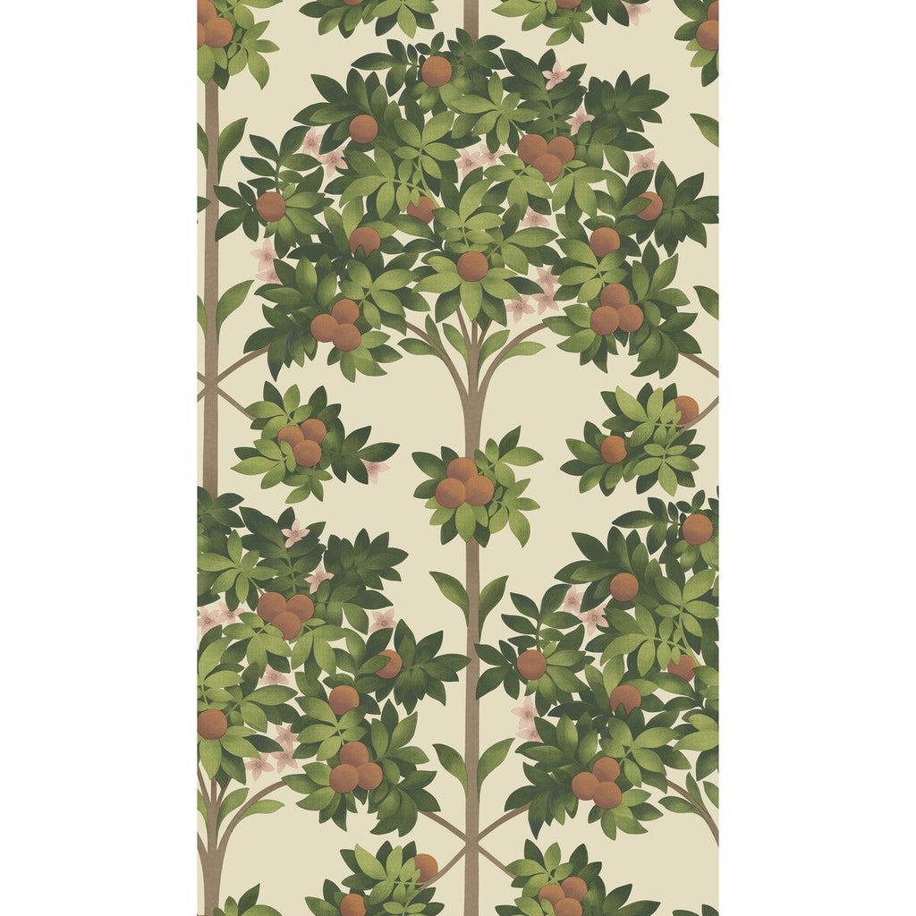 Orange Blossom - Orange & Spring Green/Parch Orange By Cole & Son | Cole & Son Seville |Botanical & Floral  Wallcovering Print