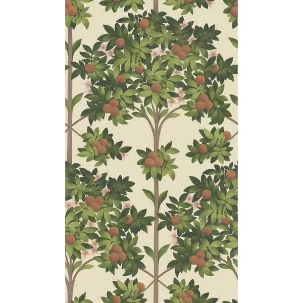 Orange Blossom - Orange & Spring Green/Parch Orange By Cole & Son | Cole & Son Seville |Botanical & Floral  Wallcovering Print