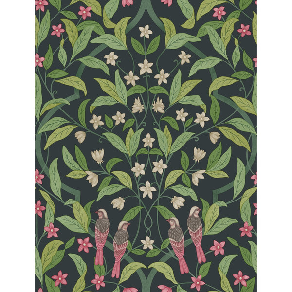 Jasmine & Serin Symphony - Rose/Grn/Viridian Black By Cole & Son | Cole & Son Seville |Botanical & Floral  Wallcovering Print