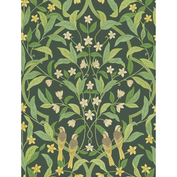 Jasmine & Serin Symphony - Yellow/Grn/Forest Green By Cole & Son | Cole & Son Seville |Botanical & Floral  Wallcovering Print