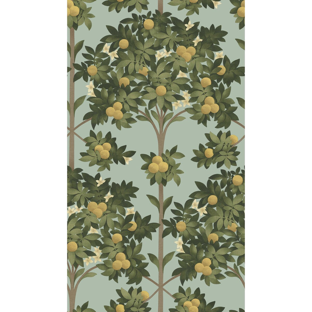 Orange Blossom - Lemon/Dk Olive Grn/Duck Egg Yellow By Cole & Son | Cole & Son Seville |Botanical & Floral  Wallcovering Print