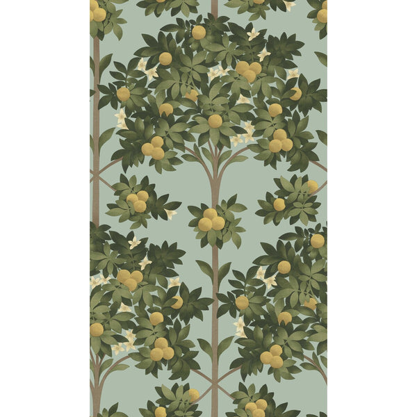 Orange Blossom - Lemon/Dk Olive Grn/Duck Egg Yellow By Cole & Son | Cole & Son Seville |Botanical & Floral  Wallcovering Print