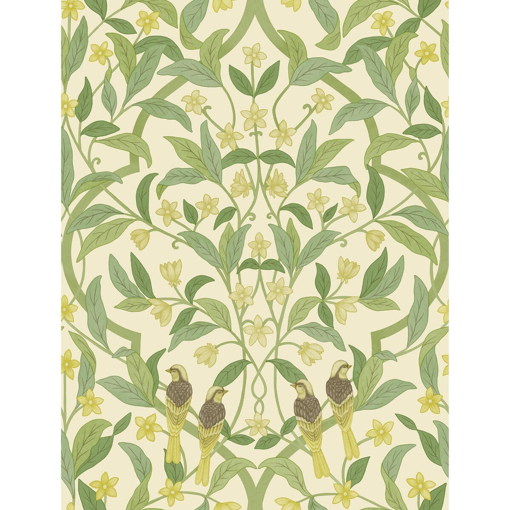 Jasmine & Serin Symphony - Chartreuse/Grn/Wt Olive Green By Cole & Son | Cole & Son Seville |Botanical & Floral  Wallcovering Print