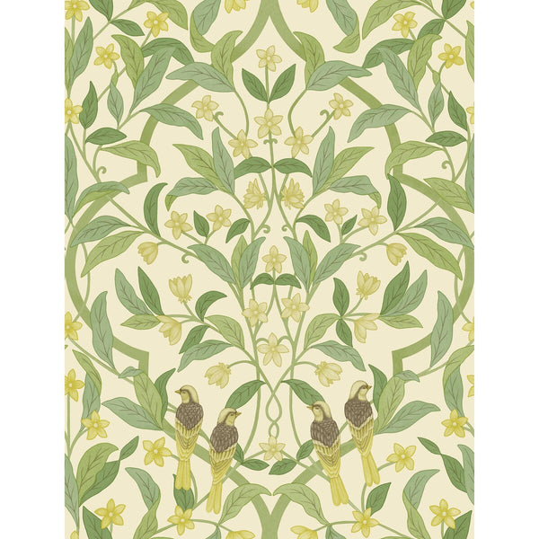 Jasmine & Serin Symphony - Chartreuse/Grn/Wt Olive Green By Cole & Son | Cole & Son Seville |Botanical & Floral  Wallcovering Print