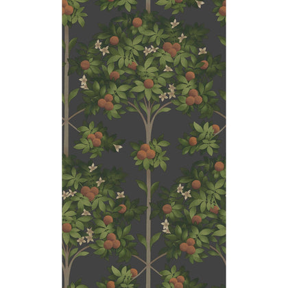 Orange Blossom - Orange & Spring Green/Black Orange | Cole & Son
