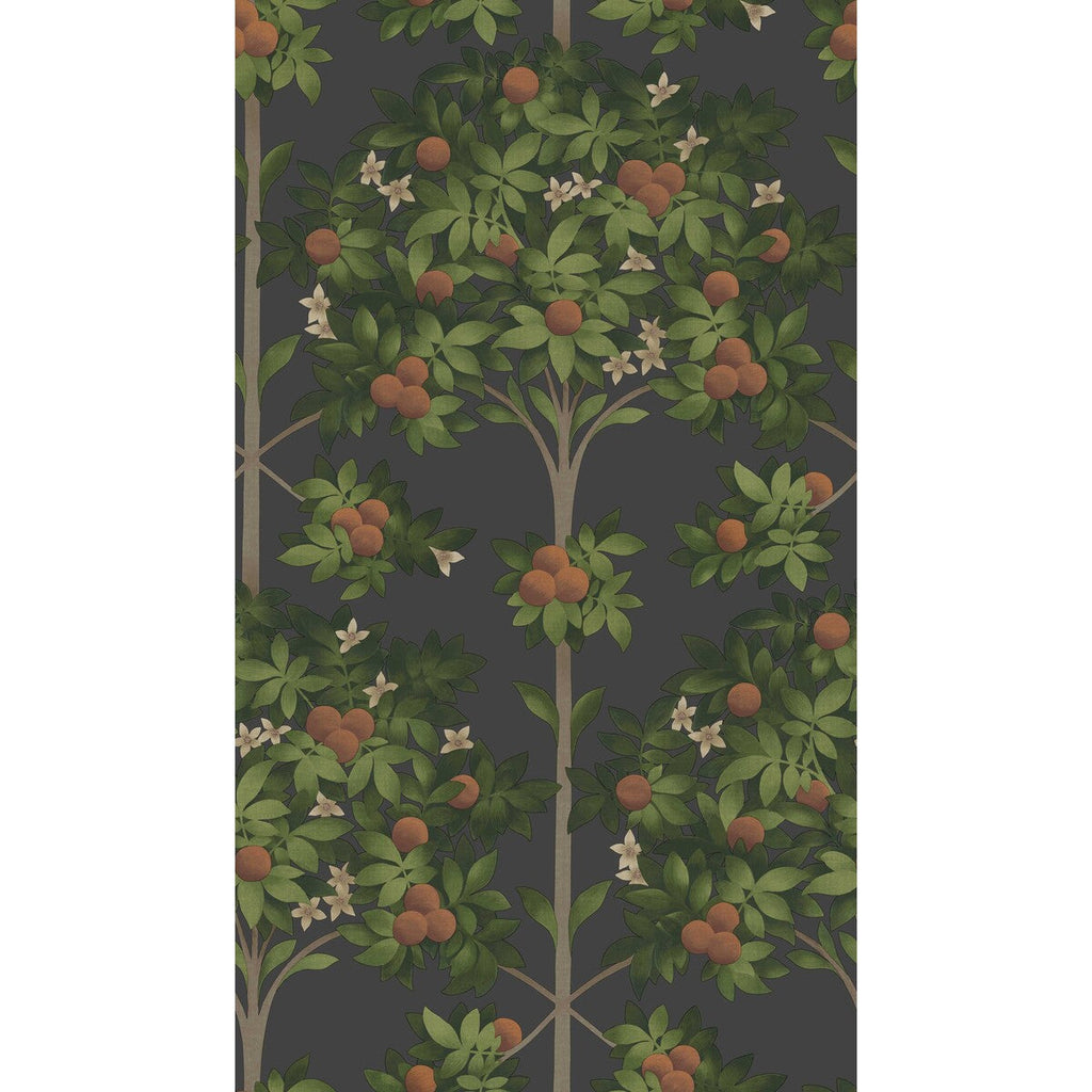 Orange Blossom - Orange & Spring Green/Black Orange By Cole & Son | Cole & Son Seville |Botanical & Floral  Wallcovering Print