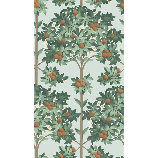 Orange Blossom - Burnt Orange/Mint/Seafoam Turquoise By Cole & Son | Cole & Son Seville |Botanical & Floral  Wallcovering Print
