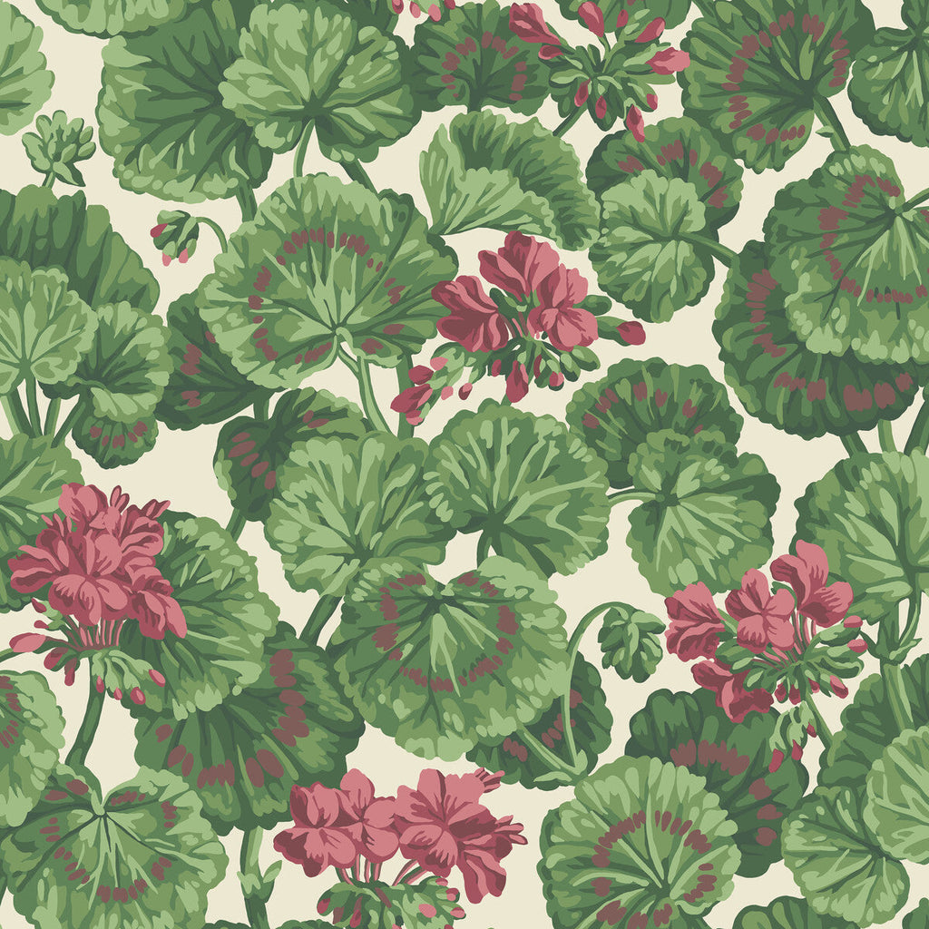 Geranium - Rose/Forest Grn On Parchment  Red By Cole & Son | Cole & Son Seville |Botanical & Floral  Wallcovering Print