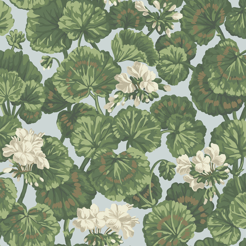 Geranium - White & Sage On Seafoam Sage By Cole & Son | Cole & Son Seville |Botanical & Floral  Wallcovering Print