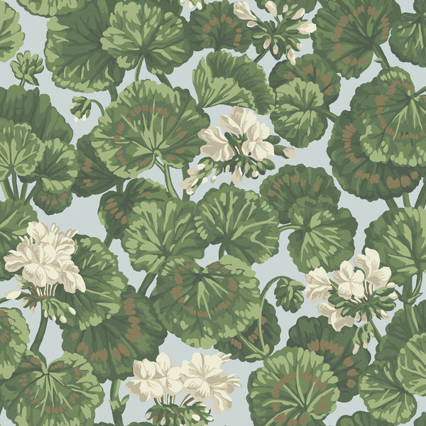 Geranium - White & Sage On Seafoam Sage By Cole & Son | Cole & Son Seville |Botanical & Floral  Wallcovering Print