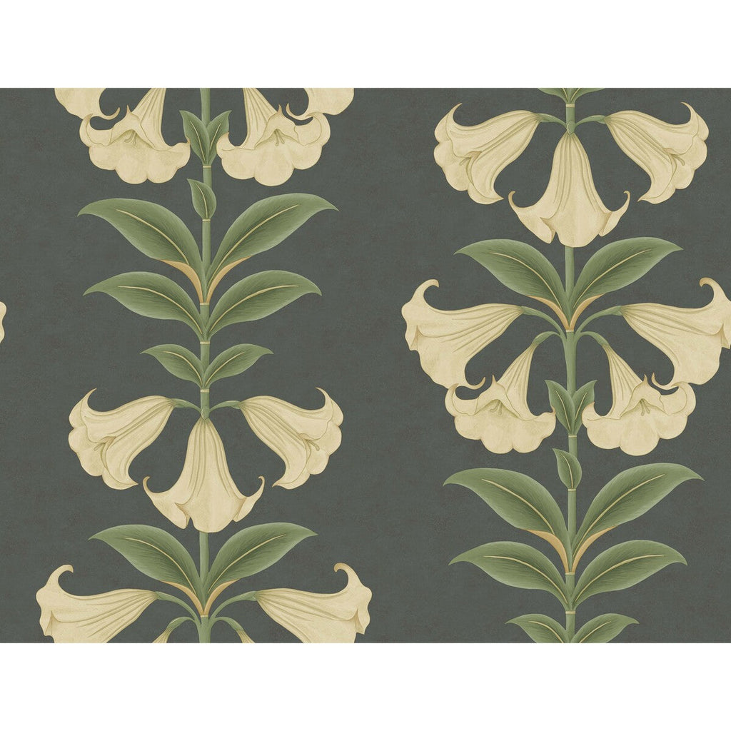 Angels Trumpet - Cream/Olive Green/Charcoal Black By Cole & Son | Cole & Son Seville |Botanical & Floral  Wallcovering Print