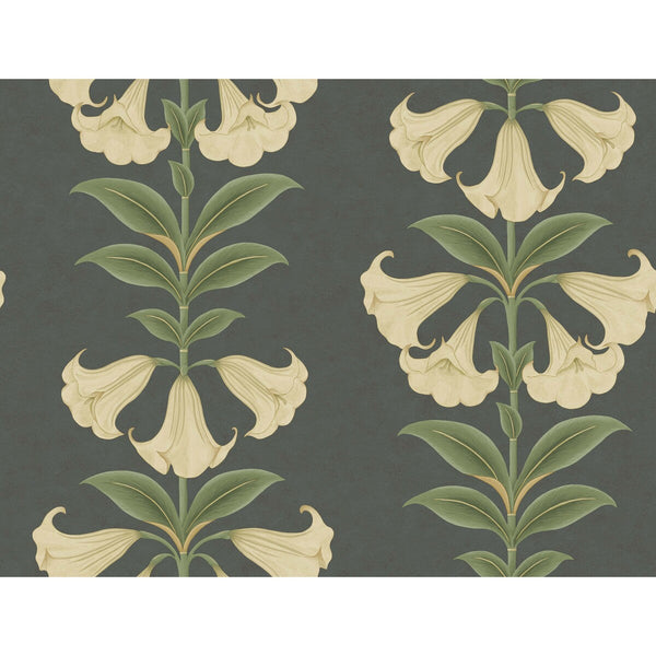 Angels Trumpet - Cream/Olive Green/Charcoal Black By Cole & Son | Cole & Son Seville |Botanical & Floral  Wallcovering Print