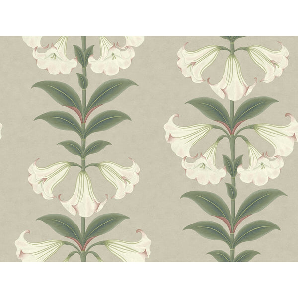 Angels Trumpet - Chalk & Sage On Stone Sage By Cole & Son | Cole & Son Seville |Botanical & Floral  Wallcovering Print
