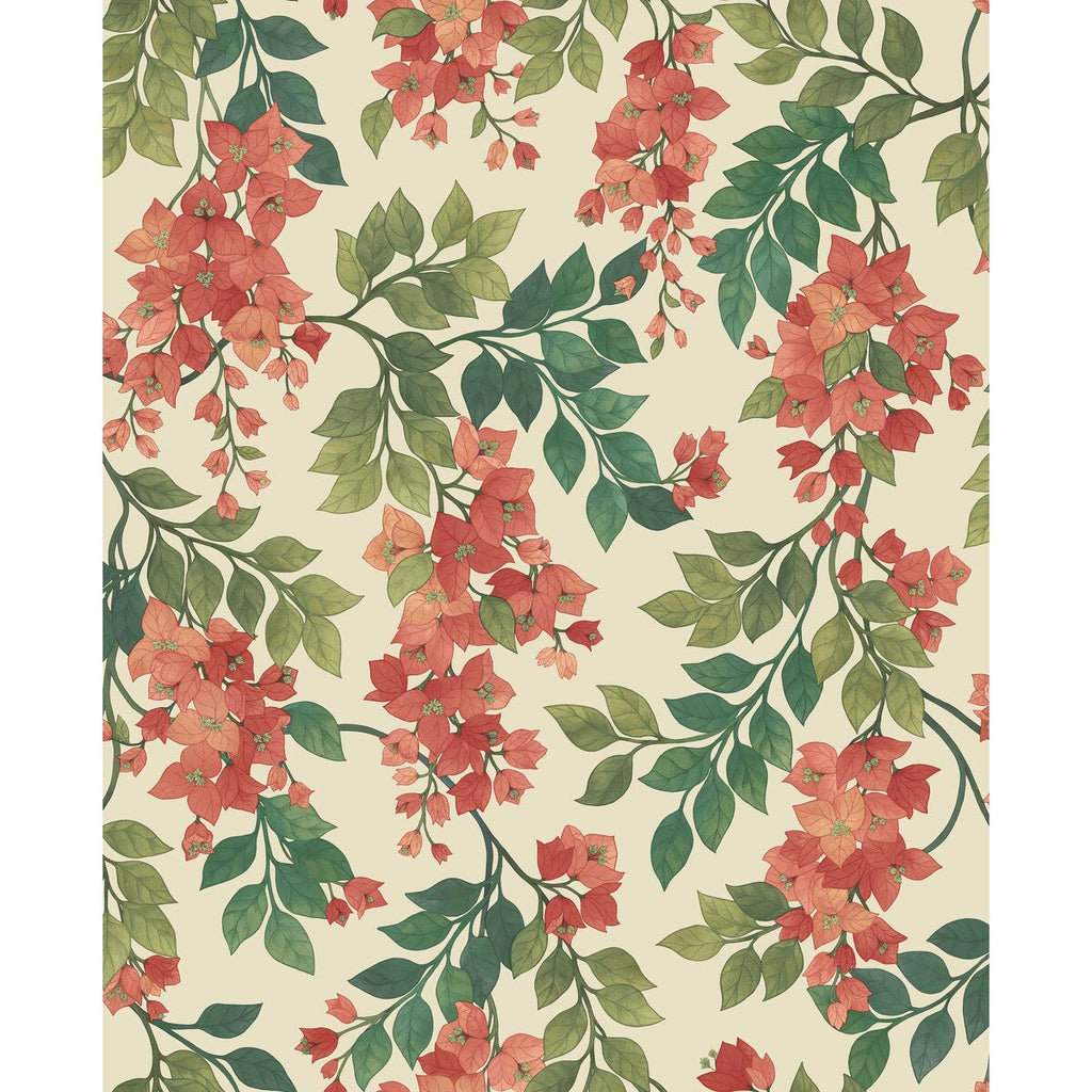 Bougainvillea - Rouge/Olive Grn/Emerald/Crm Red By Cole & Son | Cole & Son Seville |Botanical & Floral  Wallcovering Print