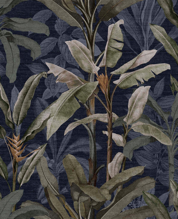 Midnight | Graham & Brown