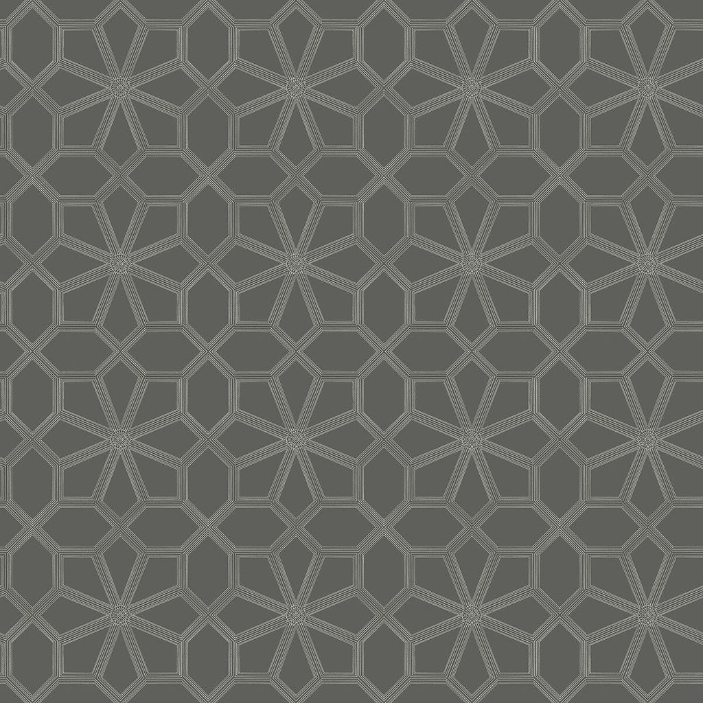 Wolsey Stars - Chalk/Charcl Charcoal By Cole & Son | Cole & Son Historic Royal Palaces-Great Masters | Geometric Wallcovering Print