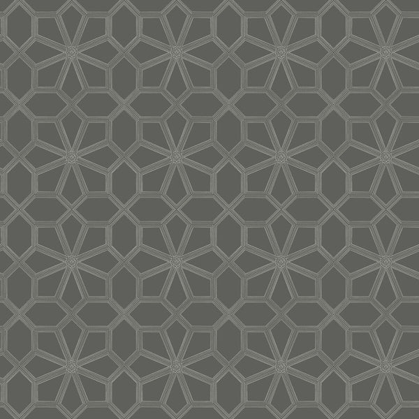 Wolsey Stars - Chalk/Charcl Charcoal By Cole & Son | Cole & Son Historic Royal Palaces-Great Masters | Geometric Wallcovering Print