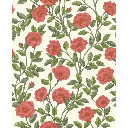 Hampton Roses - R&Sgrn/Pmnt Multi | Cole & Son