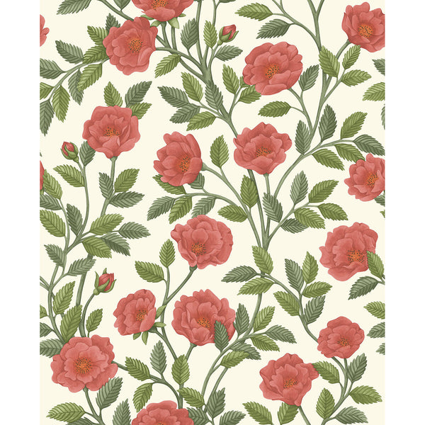 Hampton Roses - R&Sgrn/Pmnt Multi | Cole & Son