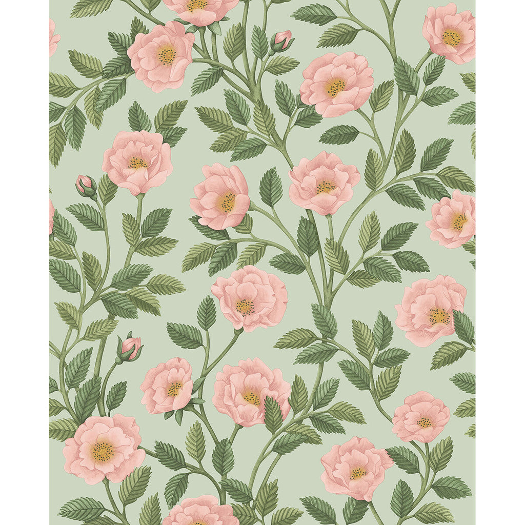 Hampton Roses - R&Lgrn/Degg Multi By Cole & Son | Cole & Son Historic Royal Palaces-Great Masters |Botanical & Floral  Wallcovering