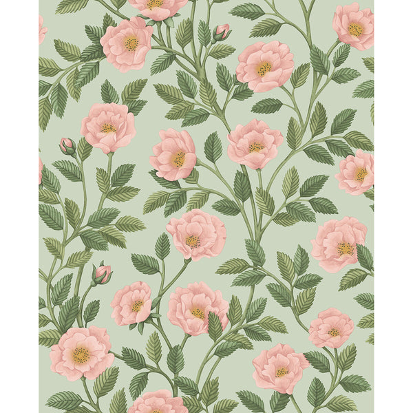 Hampton Roses - R&Lgrn/Degg Multi By Cole & Son | Cole & Son Historic Royal Palaces-Great Masters |Botanical & Floral  Wallcovering