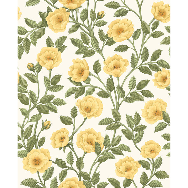 Hampton Roses - Mrg&Ogrn/Wh Multi | Cole & Son