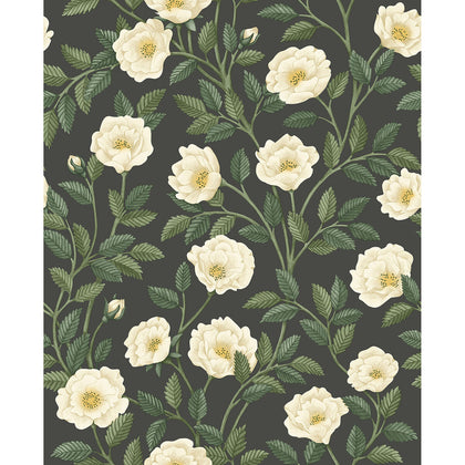 Hampton Roses - Crm&Fgrn/Ch Multi | Cole & Son