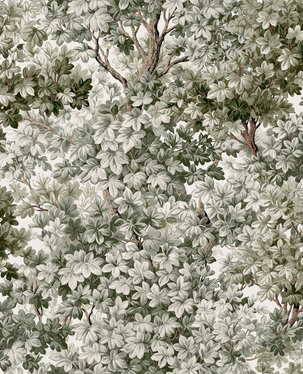 Sage | Graham & Brown