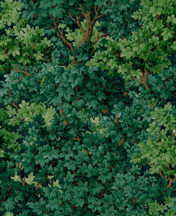 Forrest | Graham & Brown