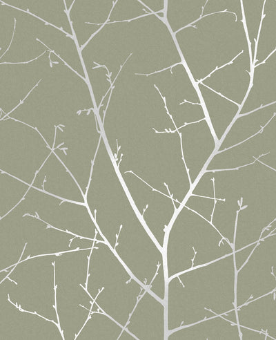 Sage | Graham & Brown