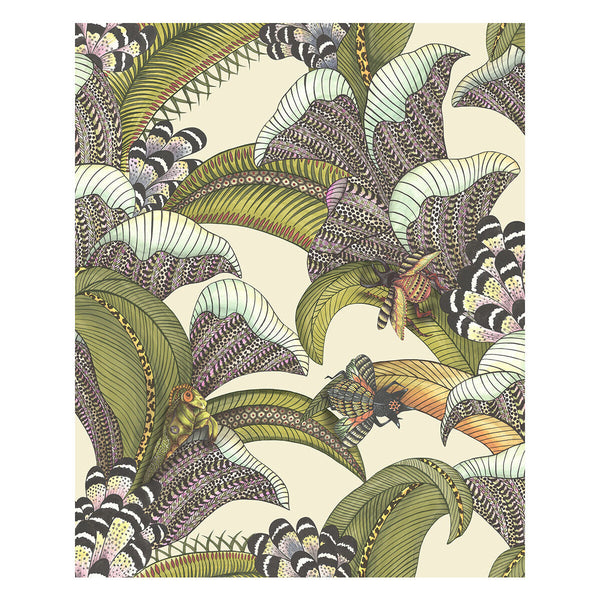 Hoopoe Leaves - Olive/Chart/Fuchsia On Cream Multi By Cole & Son | Cole & Son Ardmore-Jabula |Animal/Insects Botanical & Floral Wallcovering Print