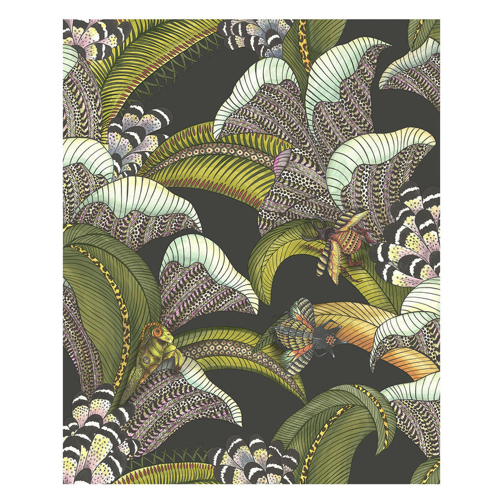 Hoopoe Leaves - Olive Black Multi By Cole & Son | Cole & Son Ardmore-Jabula |Animal/Insects Botanical & Floral Wallcovering Print