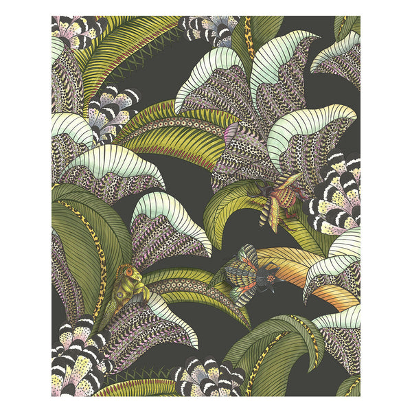 Hoopoe Leaves - Olive Black Multi By Cole & Son | Cole & Son Ardmore-Jabula |Animal/Insects Botanical & Floral Wallcovering Print