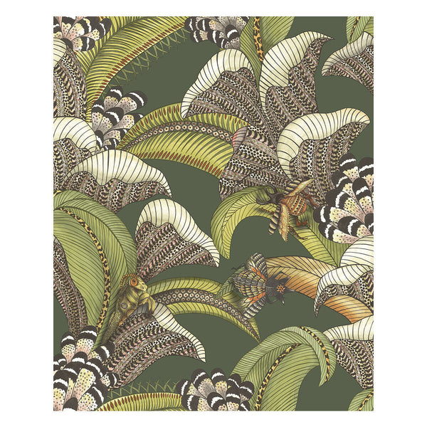 Hoopoe Leaves - Spring Green And Coral Green By Cole & Son | Cole & Son Ardmore-Jabula |Animal/Insects Botanical & Floral Wallcovering Print