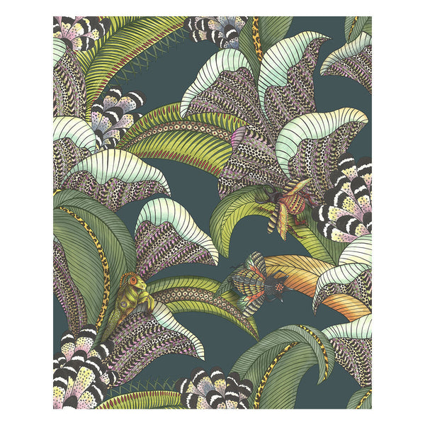 Hoopoe Leaves - Viridian Multi By Cole & Son | Cole & Son Ardmore-Jabula |Animal/Insects Botanical & Floral Wallcovering Print