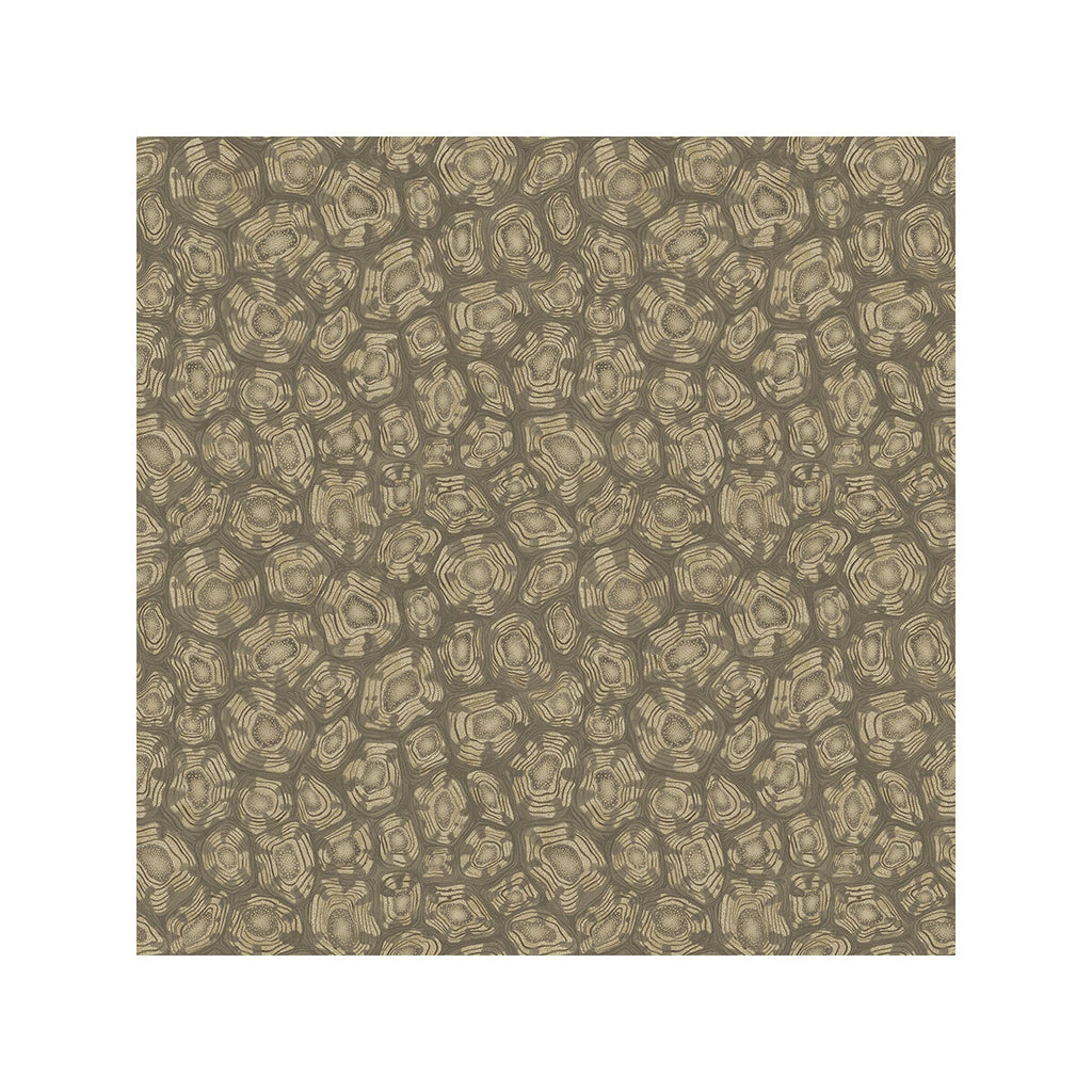 Savanna Shell - Gilver Gold By Cole & Son | Cole & Son Ardmore-Jabula | Modern Wallcovering Print