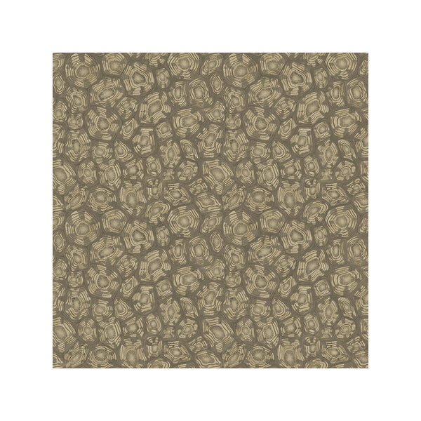 Savanna Shell - Gilver Gold By Cole & Son | Cole & Son Ardmore-Jabula | Modern Wallcovering Print