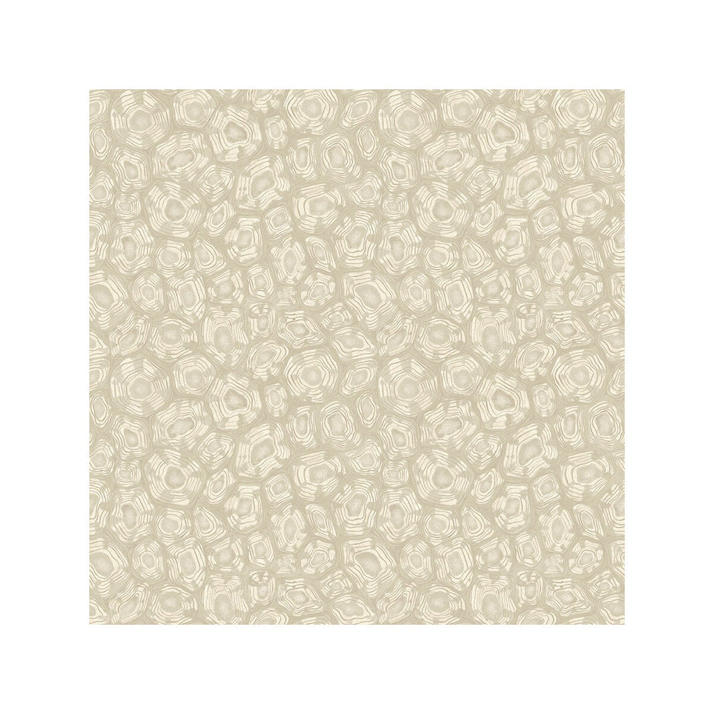 Savanna Shell - Parchment Beige By Cole & Son | Cole & Son Ardmore-Jabula | Modern Wallcovering Print