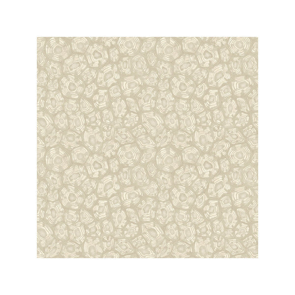 Savanna Shell - Parchment Beige By Cole & Son | Cole & Son Ardmore-Jabula | Modern Wallcovering Print