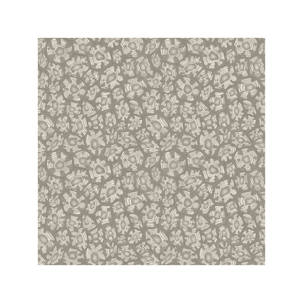 Savanna Shell - Taupe Taupe By Cole & Son | Cole & Son Ardmore-Jabula | Modern Wallcovering Print