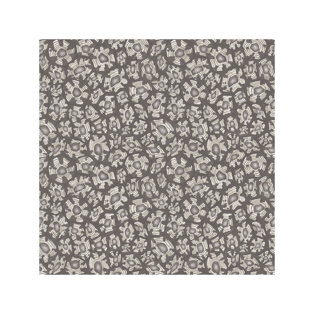 Savanna Shell - Soot Grey By Cole & Son | Cole & Son Ardmore-Jabula | Modern Wallcovering Print
