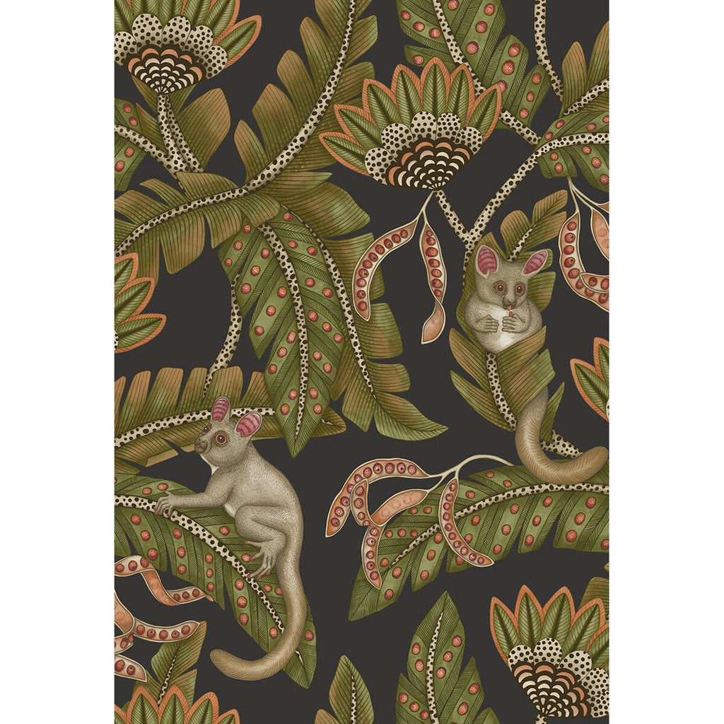 Bush Baby - Spgrn&Orng/Blck Multi By Cole & Son | Cole & Son Ardmore-Jabula |Animal/Insects Botanical & Floral Wallcovering Print