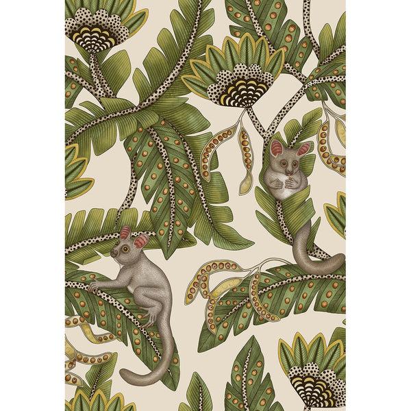 Bush Baby - Sprgrn&Mrgld/Stn Green By Cole & Son | Cole & Son Ardmore-Jabula |Animal/Insects Botanical & Floral Wallcovering Print